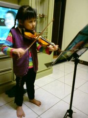 violin