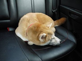 20111008_007.JPG