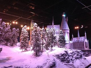 IMG_1282