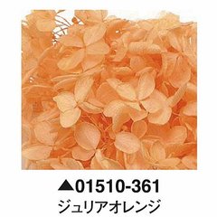 大地農園01510-361_繡球花哪裡買_繡球花介紹_永生花專賣_永生花推薦_愛意花坊-2022.jpg