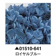 大地農園01510-641_繡球花哪裡買_繡球花介紹_永生花專賣_永生花推薦_愛意花坊-2022.jpg