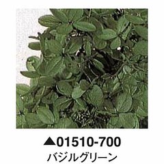 大地農園01510-700_繡球花哪裡買_繡球花介紹_永生花專賣_永生花推薦_愛意花坊-2022.jpg