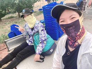 IMG_8785.JPG
