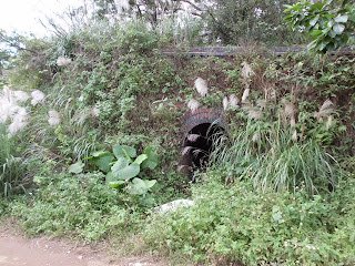 八卦窯/三芝的磚窯-位於頂新庄子的磚窯，舊名「綠洲」/民國6