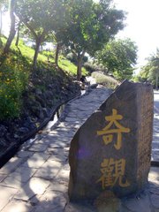 奇觀:水往上流