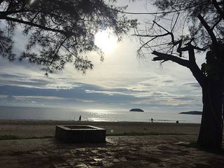 IMG_1655.JPG