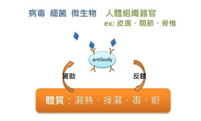 免疫系統.jpg