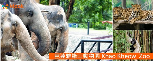 Khao Kheow Open Zoo芭達雅綠山動物園門票.jpg