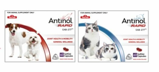 Antinol®Rapid安適得酷版