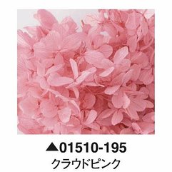 大地農園01510-195_繡球花哪裡買_繡球花介紹_永生花專賣_永生花推薦_愛意花坊-2022.jpg