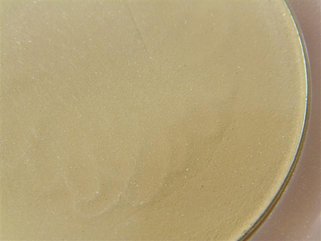 S73F7843 (Small).JPG