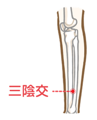 三陰交-02