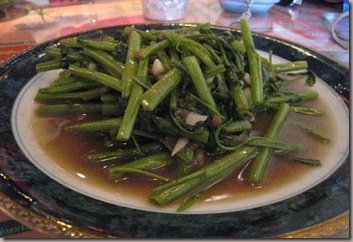 沙哇帝卡3