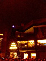 IMG0099A.jpg