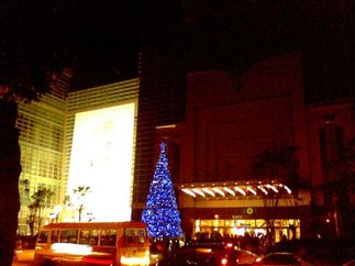 IMG0101A.jpg