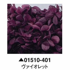 大地農園01510-401_繡球花哪裡買_繡球花介紹_永生花專賣_永生花推薦_愛意花坊-2022.jpg