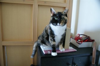 DSC01120 (Large).JPG