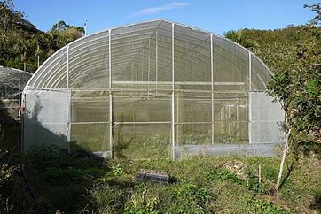 P1020392