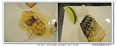 DSC02447.JPG