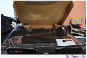DSC_8169.JPG