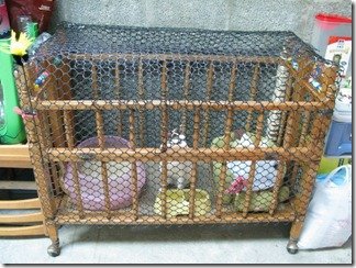 來福新家v1_網路恢復