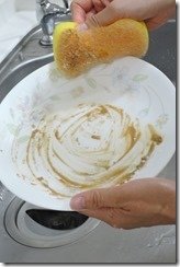 DSCN5442