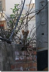 DSC02166