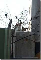DSC02165