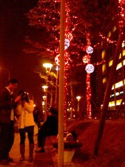 IMG0091A.jpg