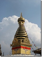 IMG_1125