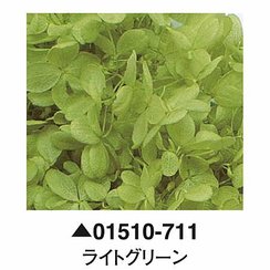 大地農園01510-711_繡球花哪裡買_繡球花介紹_永生花專賣_永生花推薦_愛意花坊-2022.jpg