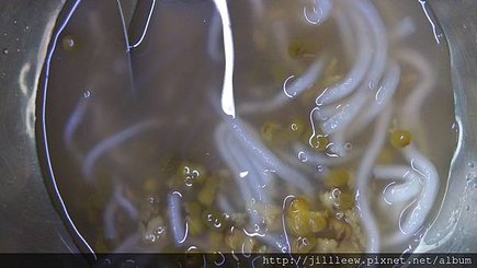 IMAG3553.jpg