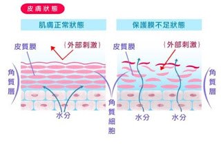 保濕1.jpg