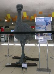 emu