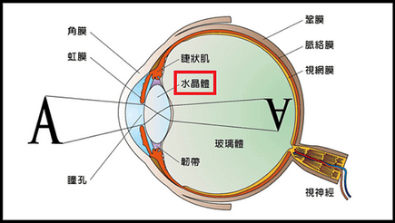 未命名.png