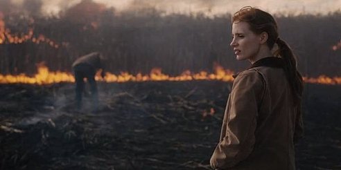 o-JESSICA-CHASTAIN-INTERSTELLAR-facebook