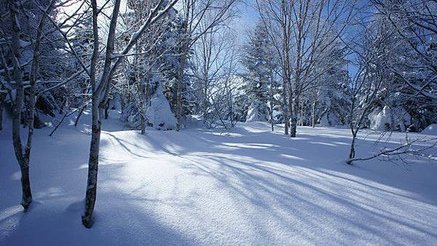 20160124雪