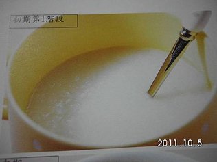 厭食  用香甜的材料做的材料做的美觀一點      栗子糊