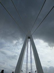 IMAG8327.jpg