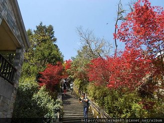 太平山包車旅遊相片