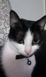 IMAG0283.jpg