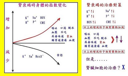 20160923腎臟腎衰竭的變化及治療.JPG