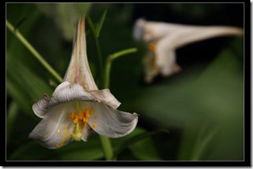 20100425 朱銘美術館 北海岸一日遊 IMG_0181