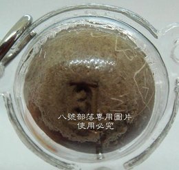 DSC07670A.JPG