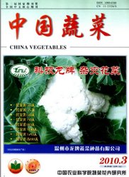 中國蔬菜