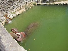 IMG_9968