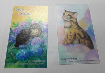 20161212_161502.jpg