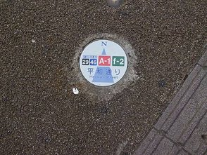 CIMG0539.JPG