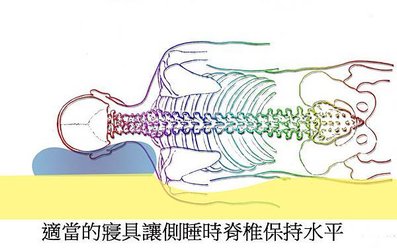 低反發(記憶綿)？高反發(高回彈綿)？能夠帶來舒眠的床墊挑選