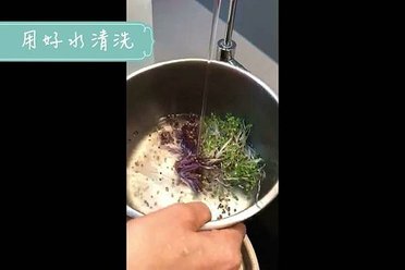 20210707清洗蔬果_陳月卿55